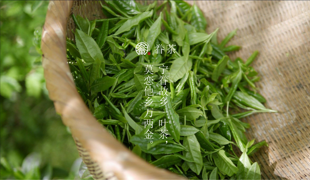 中恩財智共贏匯企業(yè)參訪記：走進眷茶