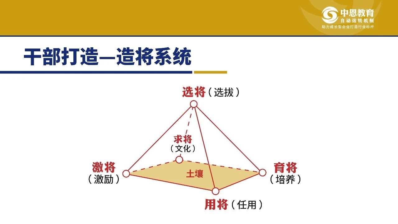 干部打造